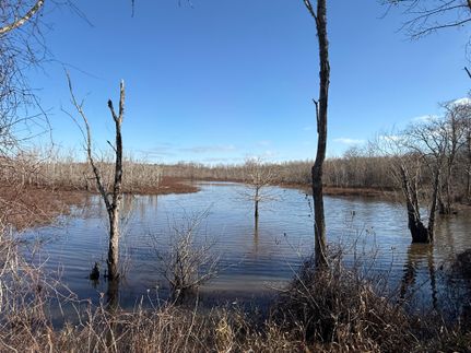 Recreational Property in Catahoula Parish, Louisiana