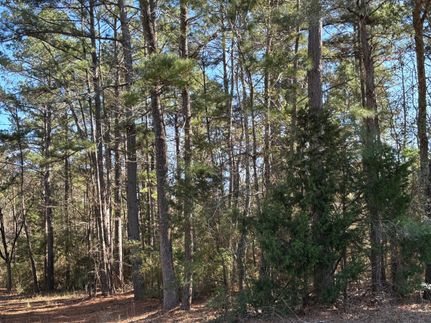 Property in Anderson County, Texas