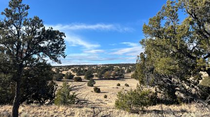 Residential Property for sale in Catron County, New Mexico