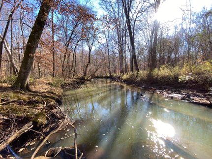 Hunting Land for sale in Lee County, Alabama
