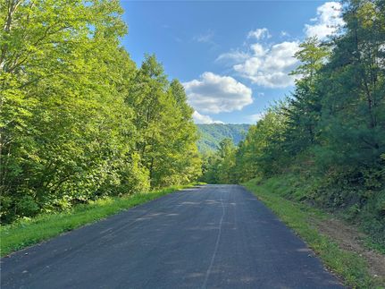 Recreational Property for sale in Madison County, North Carolina