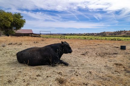 Farm Property for sale in San Luis Obispo County, California