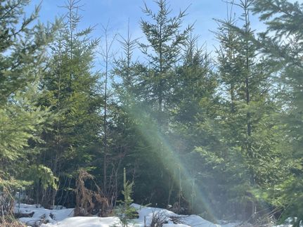 Farm Property in Washington County, Oregon