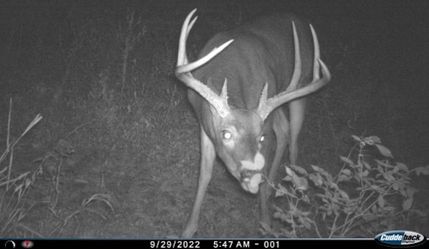 Property in Lincoln County, Missouri