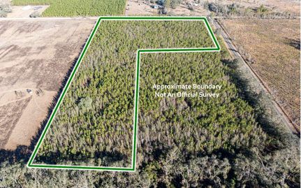 Farm Property in Suwannee County, Florida