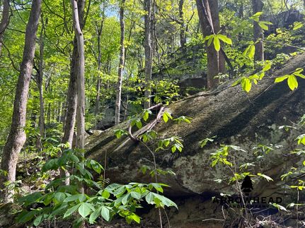 Undeveloped Land in Putnam County, Tennessee