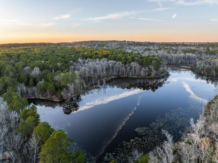Timberland Property in Anderson County, Texas