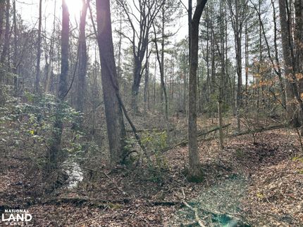 Ranch Property in McMinn County, Tennessee