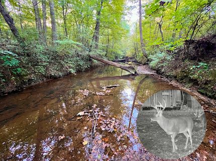 Undeveloped Land in Blount County, Alabama