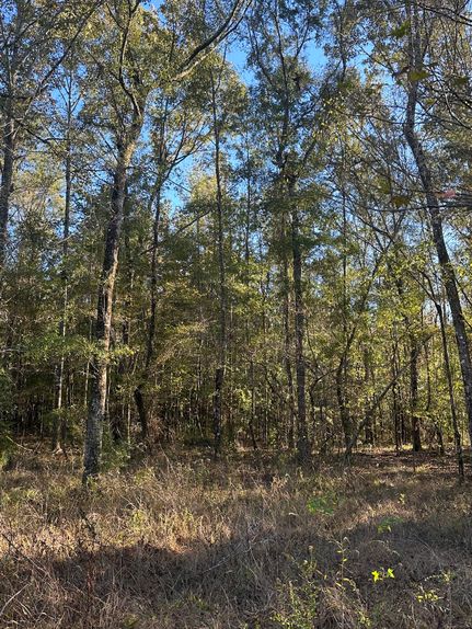 Property in Washington County, Alabama