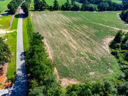 Ranch Property in Houston County, Alabama