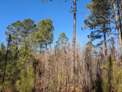 Undeveloped Land for sale in Kershaw County, South Carolina