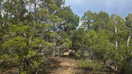 Property for sale in Duchesne County, Utah