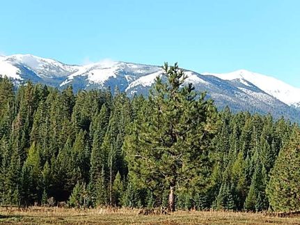 Residential Property in Wallowa County, Oregon