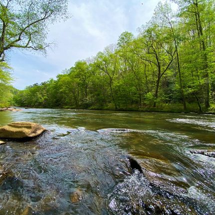 Ranch Property in Pickens County, Georgia
