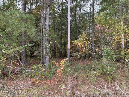 Undeveloped Land for sale in Robeson County, North Carolina