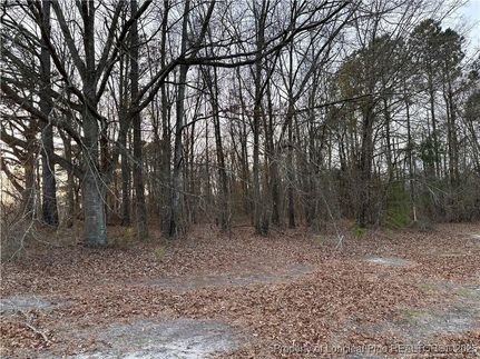 Undeveloped Land for sale in Robeson County, North Carolina