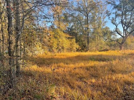 Undeveloped Land in Mobile County, Alabama