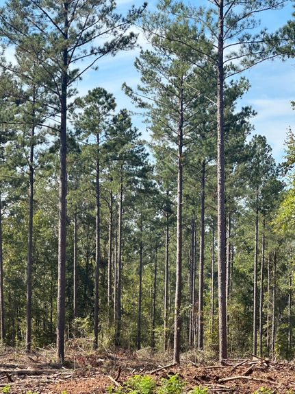 Farm Property for sale in Morgan County, Georgia