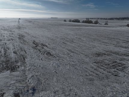 Undeveloped Land in Walsh County, North Dakota