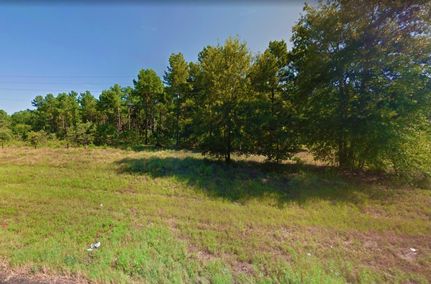 Undeveloped Land in Marion County, Texas