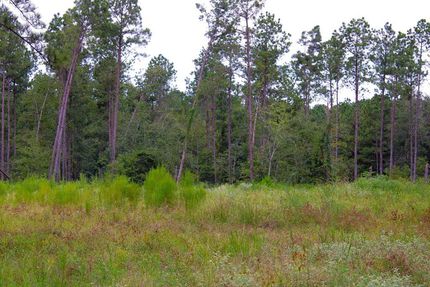 Recreational Property for sale in Angelina County, Texas