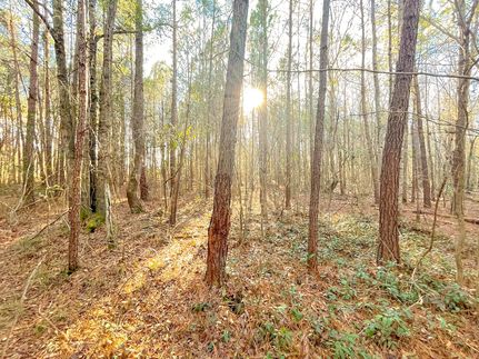 Ranch Property in Horry County, South Carolina