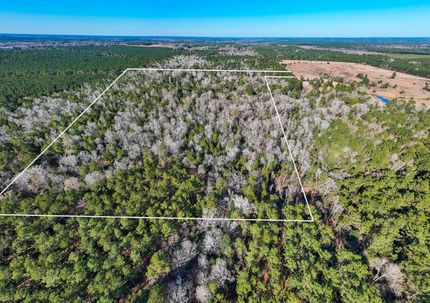 Ranch Property in Newton County, Texas