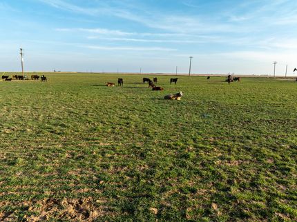 Recreational Property for sale in Haskell County, Texas
