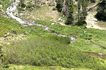 Waterfront Property in Routt County, Colorado