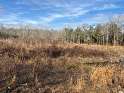 Property for sale in Pike County, Alabama