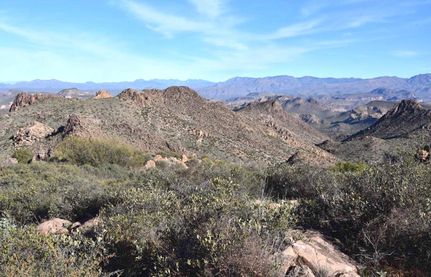 Farm Property in Pinal County, Arizona