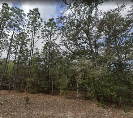 Farm Property in Putnam County, Florida