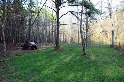 Undeveloped Land in Walker County, Alabama