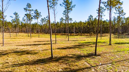 Hunting Land for sale in Polk County, Texas