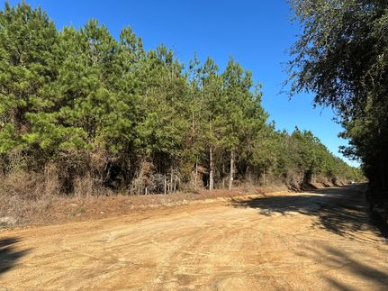 Timberland Property for sale in Houston County, Alabama