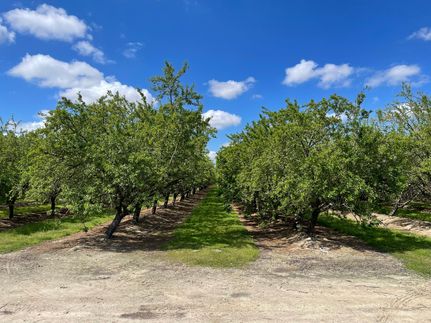 Property for sale in Madera County, California