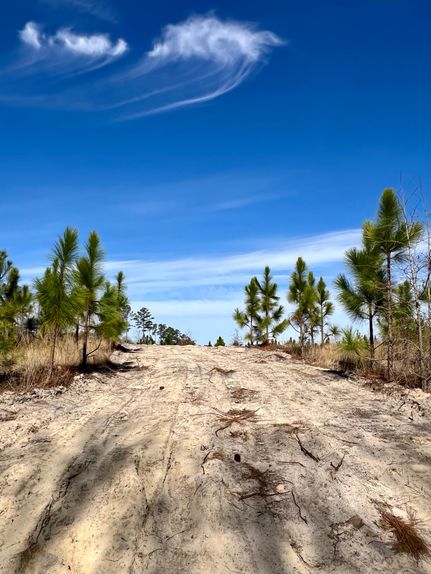 Farm Property for sale in Kershaw County, South Carolina