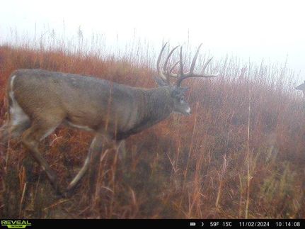 Property in Comanche County, Kansas