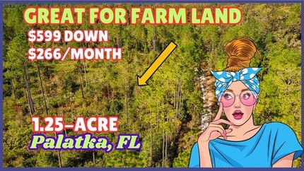 Farm Property in Putnam County, Florida