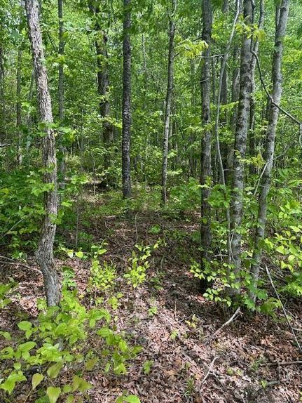 Farm Property for sale in Fentress County, Tennessee