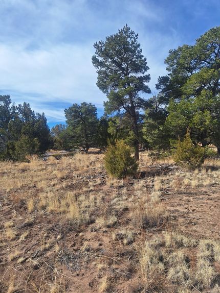 Recreational Property for sale in Cibola County, New Mexico