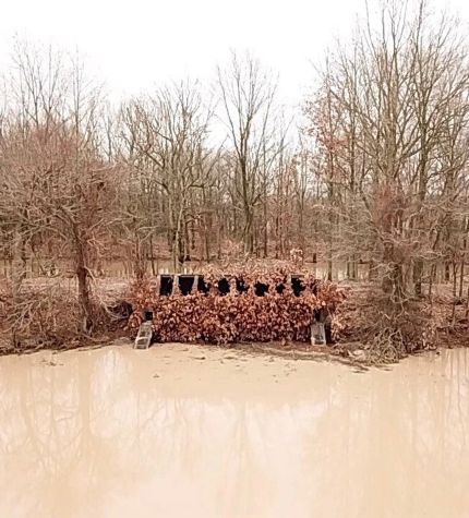 Farm Property in Poinsett County, Arkansas