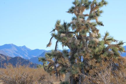 Property in Mohave County, Arizona