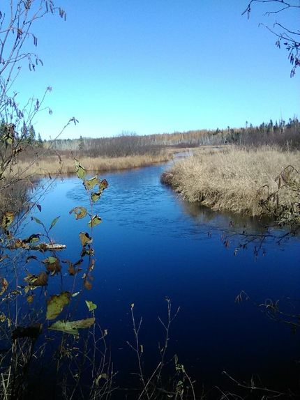 Farm Property for sale in Aroostook County, Maine