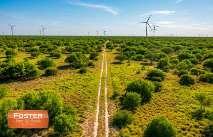 Hunting Land for sale in Hidalgo County, Texas