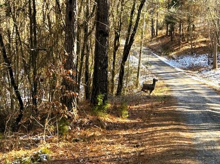 Residential Property for sale in Meigs County, Tennessee