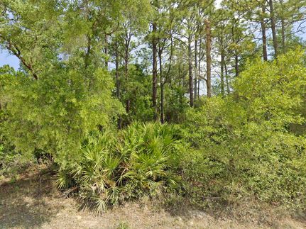 Farm Property in Citrus County, Florida