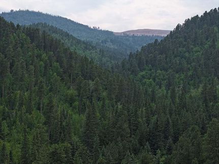 Timberland Property for sale in Lawrence County, South Dakota