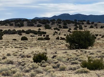 Property in Catron County, New Mexico
